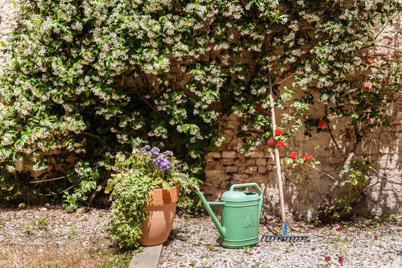 Hostly - Garden House Near The Tower - Historical House With Private Garden Διαμέρισμα Πίζα Εξωτερικό φωτογραφία